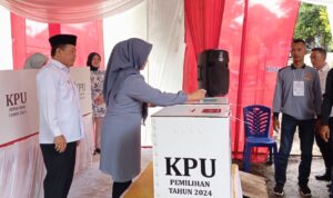 IMG-20241127-WA0089(1)