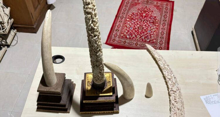 IMG-20260711-WA0000