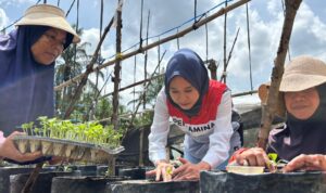 IMG-20260721-WA0019