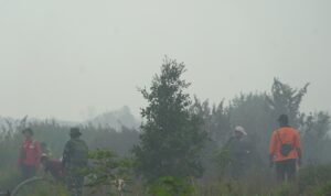 IMG-20260722-WA0004