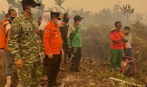 IMG-20261019-WA0019