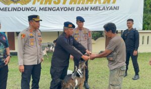 IMG-20261030-WA0071